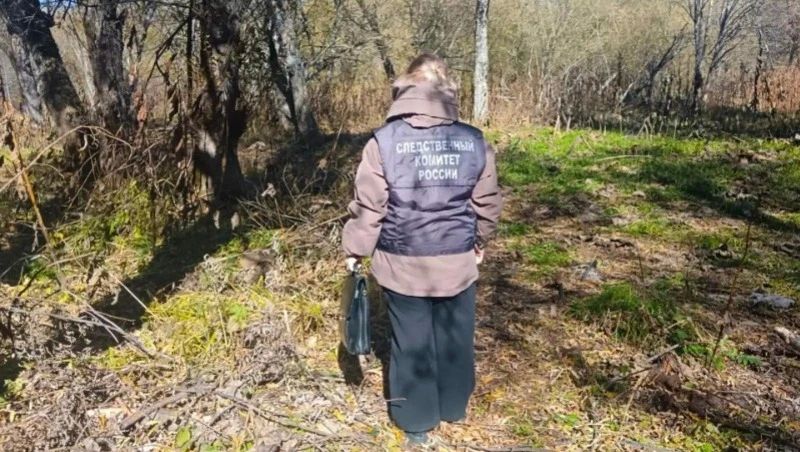 В лесном массиве недалеко от села Пятиречье в Холмском районе обнаружили тело 65-летнего мужчины