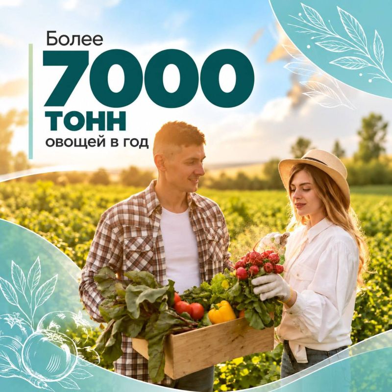 За каждым кусочком свежего хлеба и вкусным блюдом стоит труд наших фермеров, технологов, механизаторов, агрономов и животноводов За каждым кусочком свежего хлеба и вкусным блюдом стоит труд наших фермеров, технологов, механизаторов, агрономов и животноводов