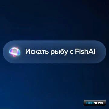 Цифровой помощник в рыбной торговле: что умеет FishAI от FishStat