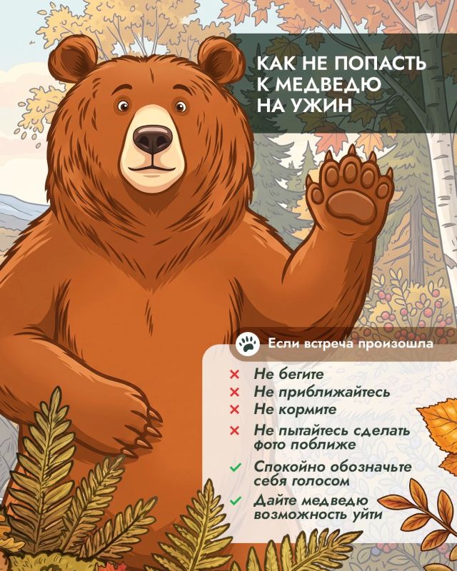 Почему осенью медведи чаще выходят к людям и причём здесь человеческая еда? Почему осенью медведи чаще выходят к людям и причём здесь человеческая еда?