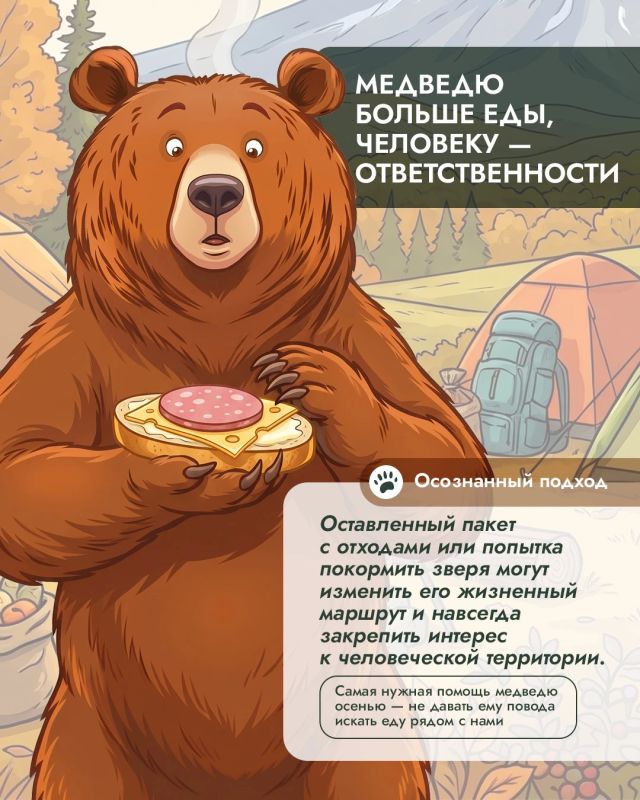 Почему осенью медведи чаще выходят к людям и причём здесь человеческая еда? Почему осенью медведи чаще выходят к людям и причём здесь человеческая еда?