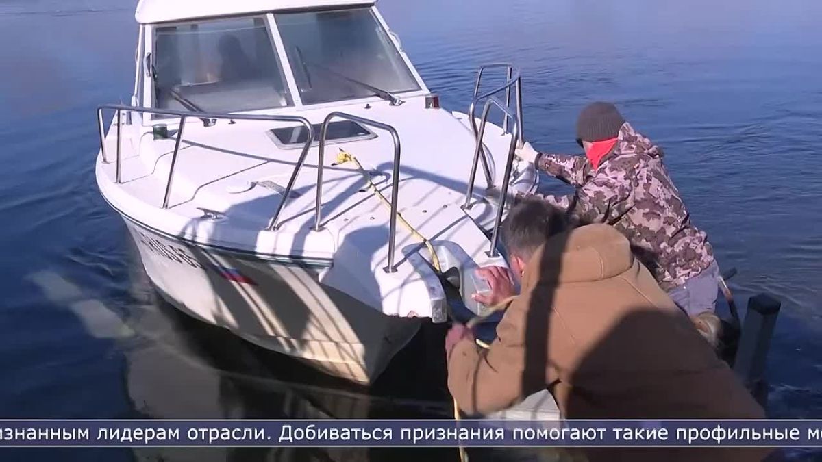 Сахалинский тунец пойдёт на экспорт