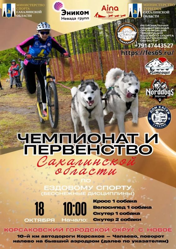 На Сахалине пройдут соревнования по ездовому спорту