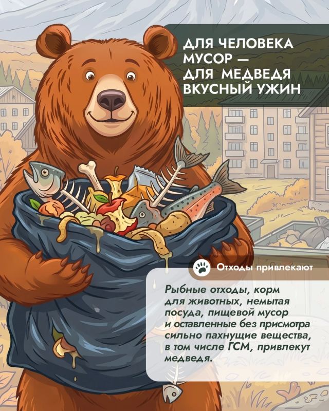 Почему осенью медведи чаще выходят к людям и причём здесь человеческая еда? Почему осенью медведи чаще выходят к людям и причём здесь человеческая еда?