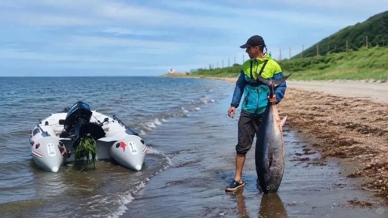 Сахалинская компания выходит на международный рынок с тунцом Сахалинская компания выходит на международный рынок с тунцом