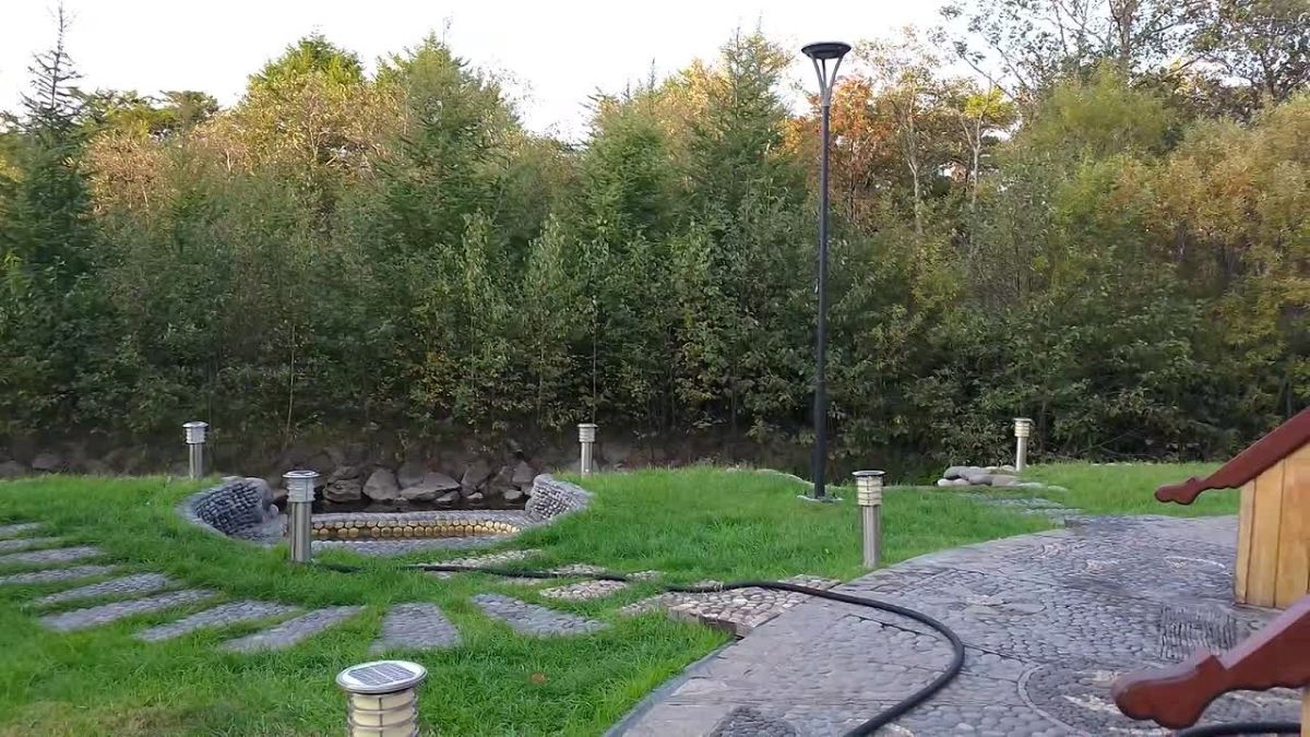 Китайская делегация оценила инвестиционную привлекательность Курильских островов