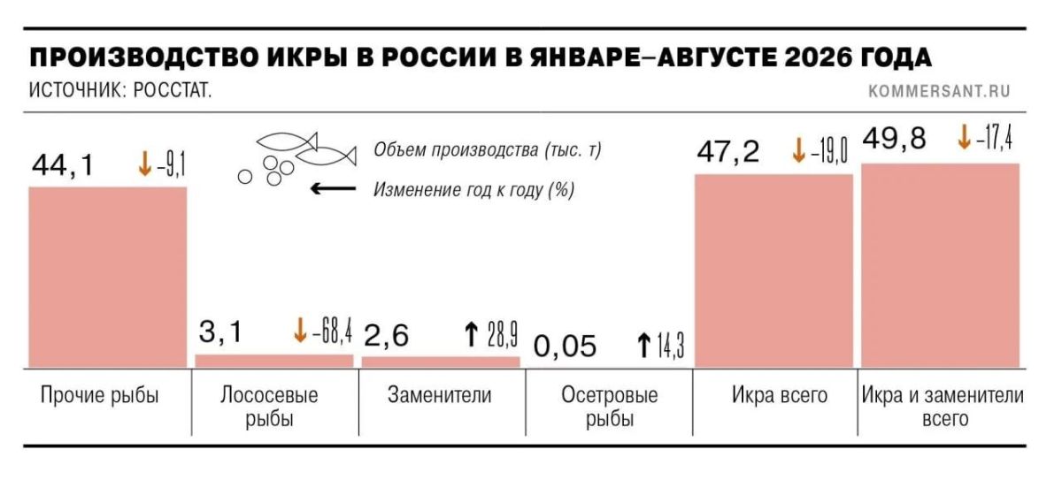 Выпуск заменителей икры за первые восемь месяцев 2026-го в России вырос на 28,9% год к году