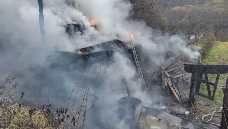 При пожаре на даче в Макаровском районе погибли 26 кур При пожаре на даче в Макаровском районе погибли 26 кур