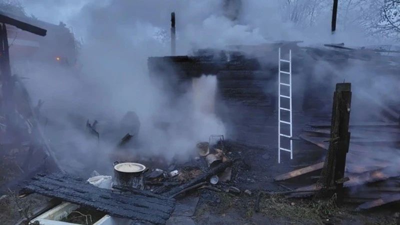 При пожаре на даче в Макаровском районе погибли 26 кур