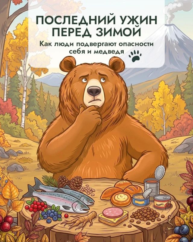 Почему осенью медведи оказываются рядом с людьми чаще? Почему осенью медведи оказываются рядом с людьми чаще?