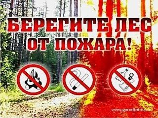 С начала пожароопасного сезона на территории лесного фонда Сахалинской области зарегистрировано 29 лесных пожаров