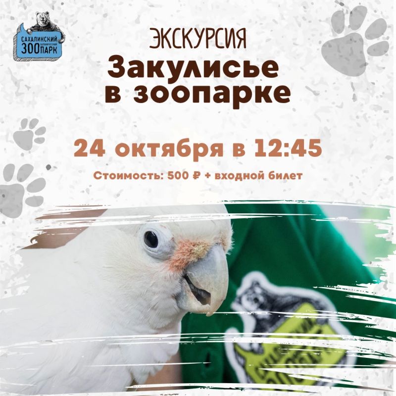 Как берут анализы у хищников и птиц? Сколько сена нужно запасти на зиму для копытных? Как долго можно ждать появления на свет хамелеонов? Эта экскурсия ответит на все ваши вопросы