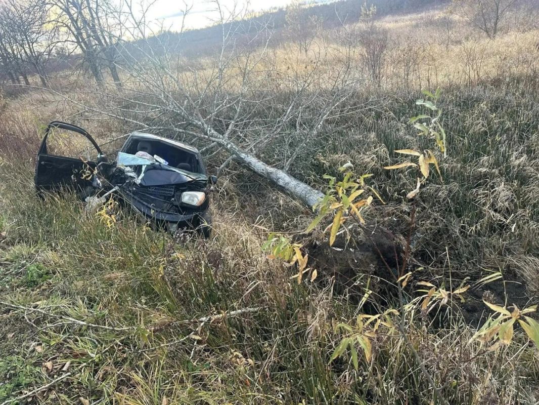 На юге Сахалина «Toyota Rav4» съехала в кювет, пострадали два человека На юге Сахалина «Toyota Rav4» съехала в кювет, пострадали два человека