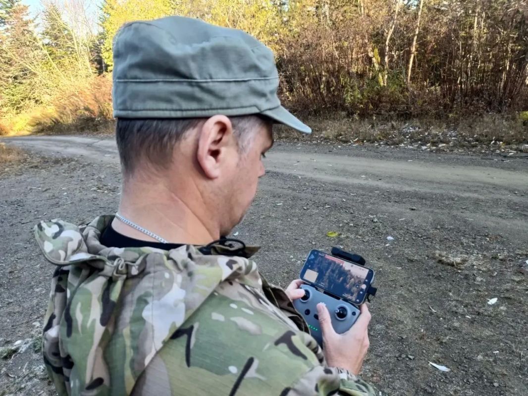 Сахалинский лес под контролем дронов Сахалинский лес под контролем дронов
