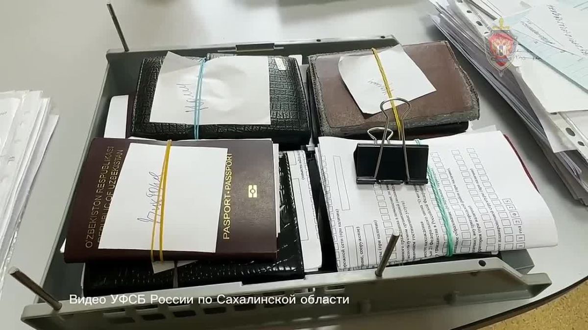 Шесть сахалинцев получили сроки за организацию незаконной миграции