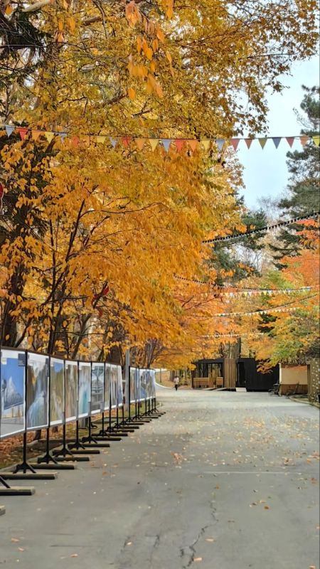 Красивый осенний городской парк им. Гагарина! Красивый осенний городской парк им. Гагарина!