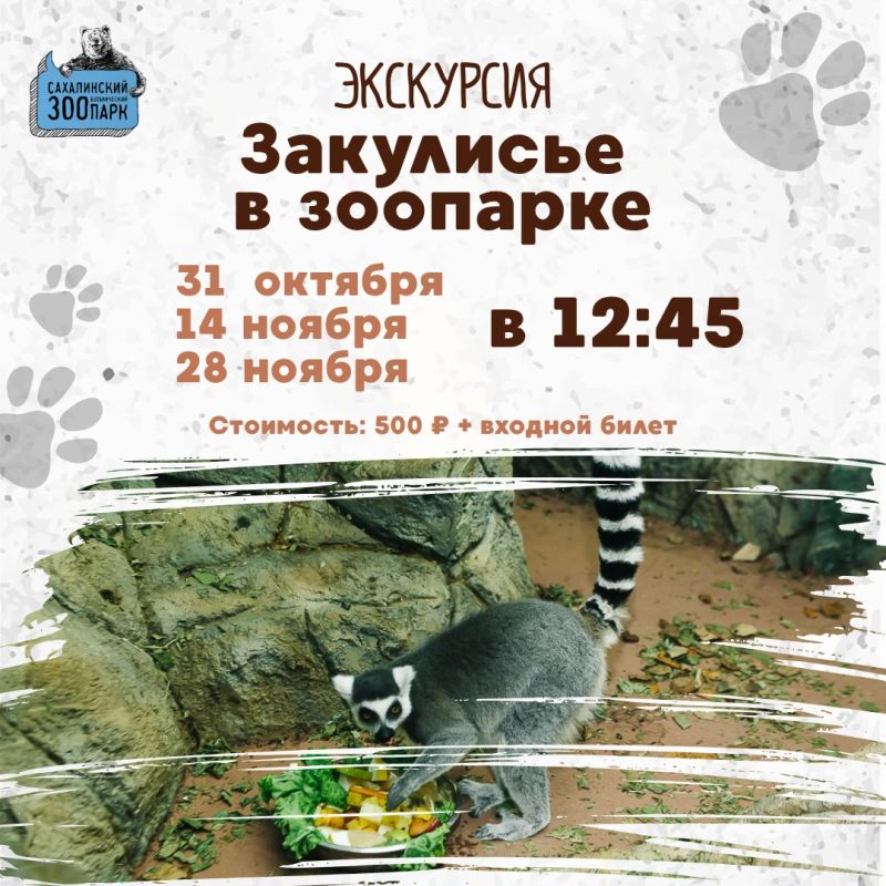 Кто в зоопарке готовит еду для тигра? Как лечат питона? Как устроена система «скрытых переходов» между вольерами у приматов? Экскурсия по закулисью ответит на все ваши вопросы