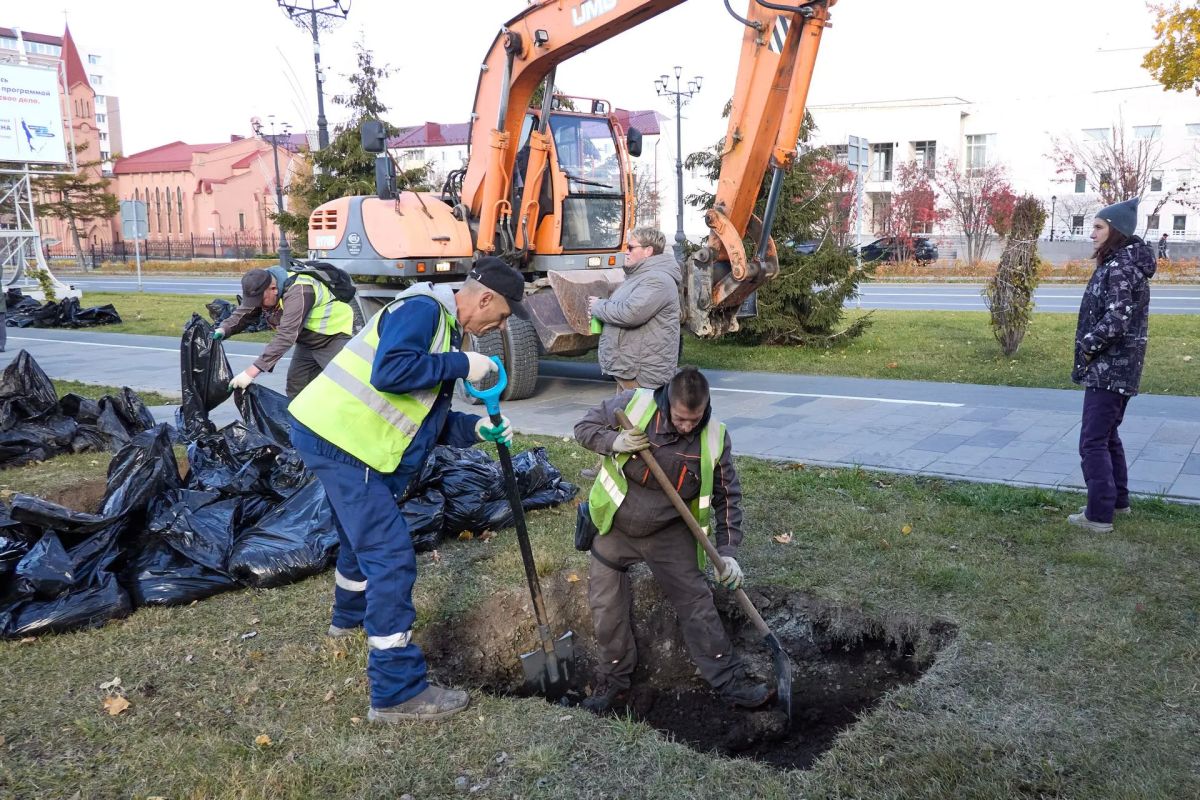 Четыре метра пушистой хвои: крупномерные ели из Казани высадили на улицах Южно-Сахалинска Четыре метра пушистой хвои: крупномерные ели из Казани высадили на улицах Южно-Сахалинска