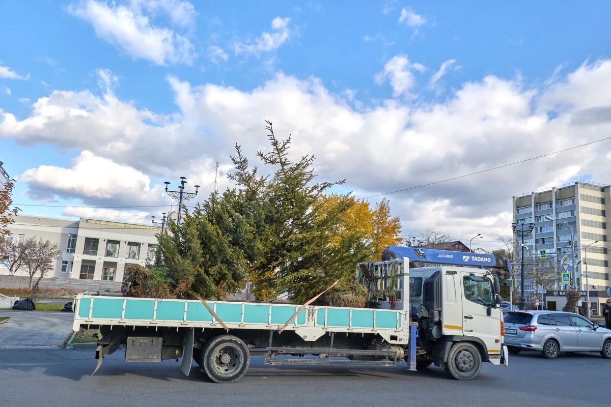 Четыре метра пушистой хвои: крупномерные ели из Казани высадили на улицах Южно-Сахалинска Четыре метра пушистой хвои: крупномерные ели из Казани высадили на улицах Южно-Сахалинска