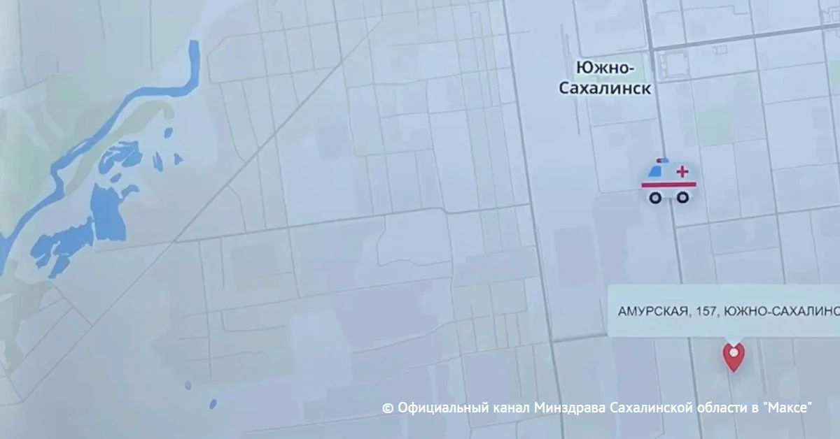 Жители Сахалина получили возможность онлайн отслеживать маршрут вызванной машины скорой помощи благодаря специальному чат-боту, сообщили в Минздраве области