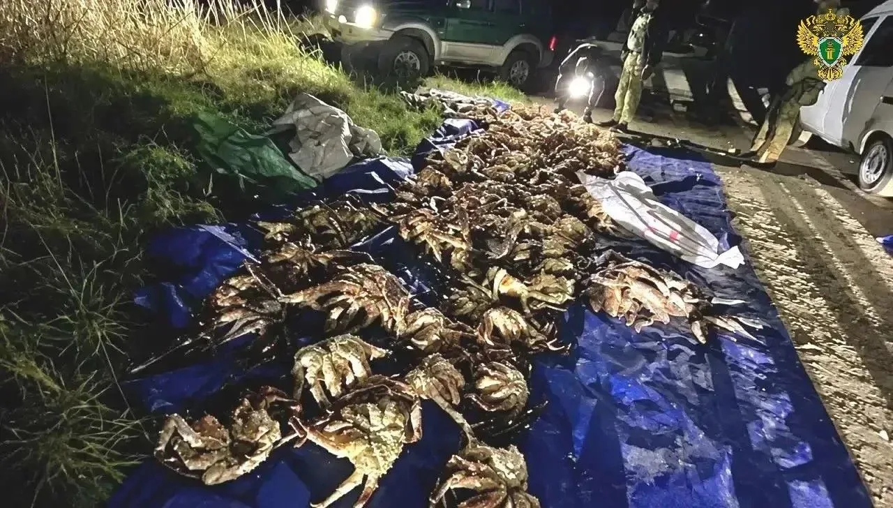 Двое жителей Корсаковского района осуждены за незаконную добычу водно-биологических ресурсов на сумму не менее 1 млн