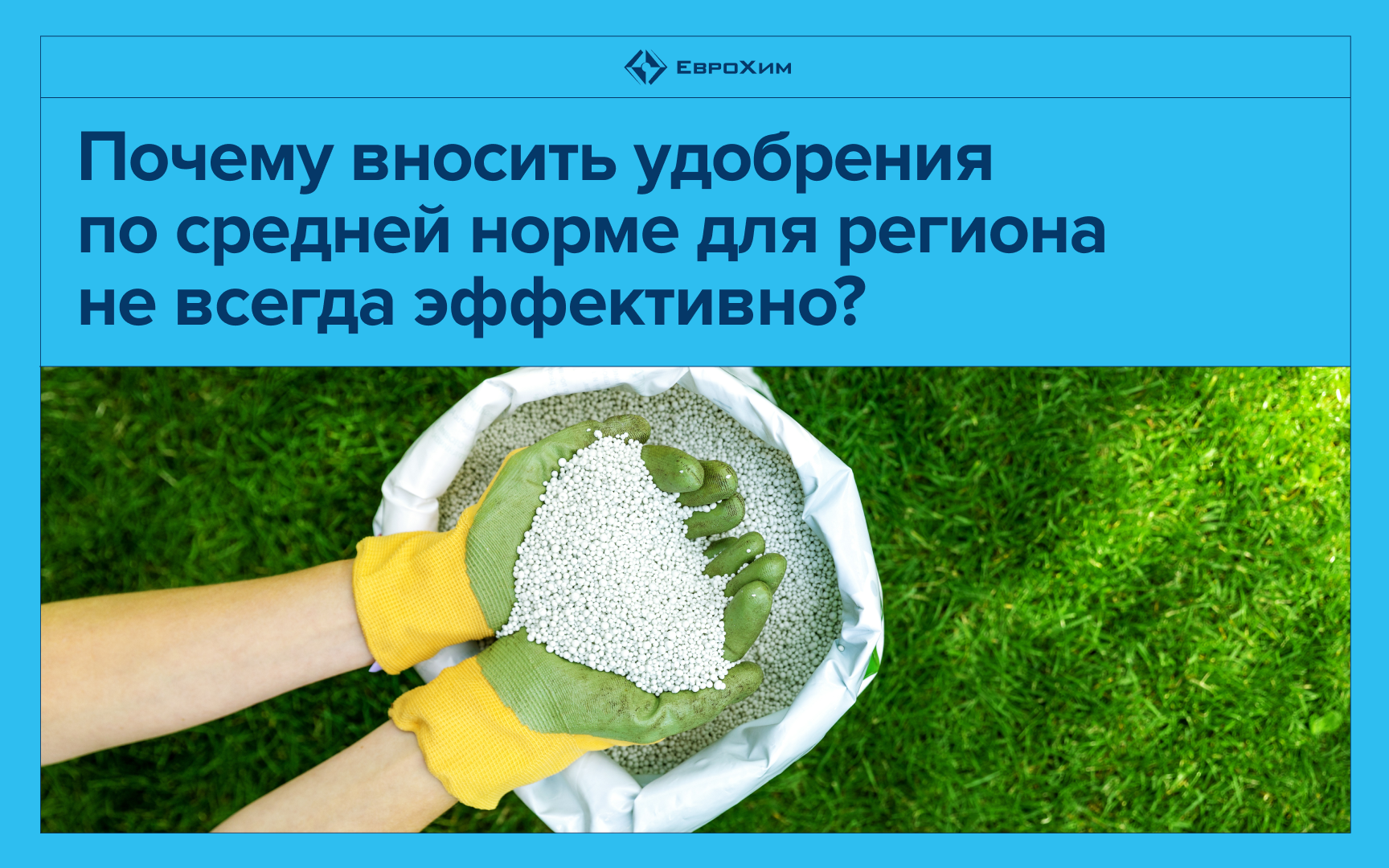 Почему единая норма удобрений может обойтись хозяйству слишком дорого
