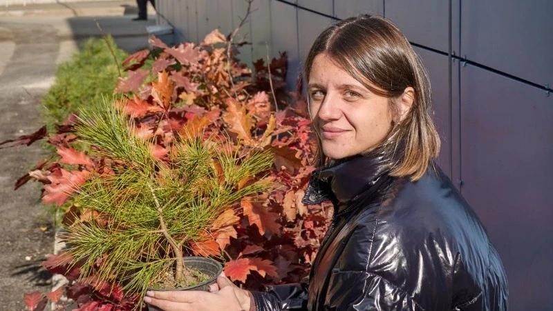 Школы и детские сады Южно-Сахалинска получили подарок, который украсит их территории
