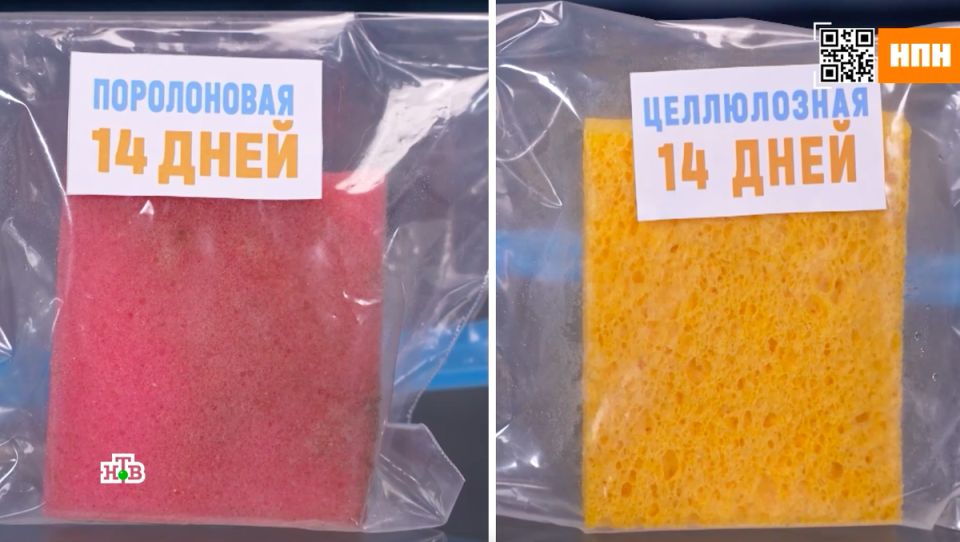 Что выбрать для уборки: целлюлозная или поролоновая губка?