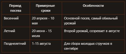 Горох на вашем огороде: секреты трех урожаев весной и летом