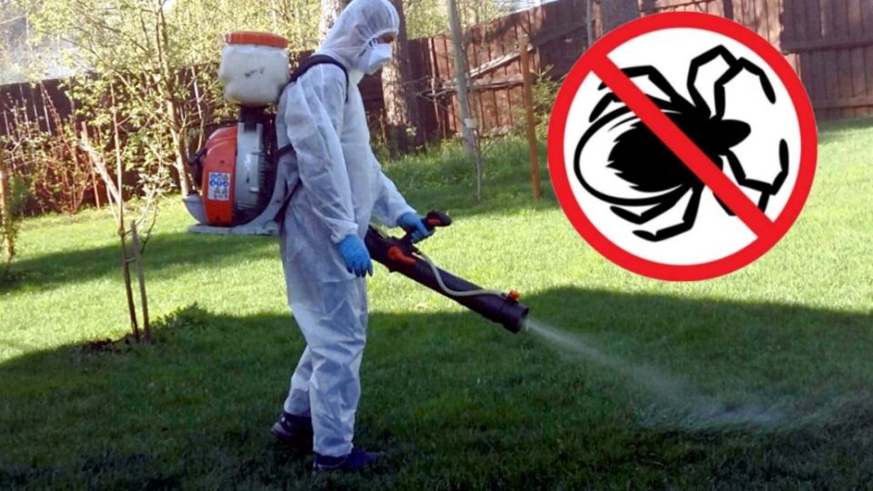 Обработка сада: как победить клещей и вернуть радость весенним дням