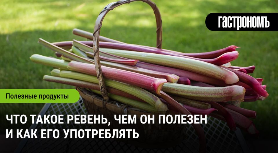 Ревень: природа на кухне и в медицине