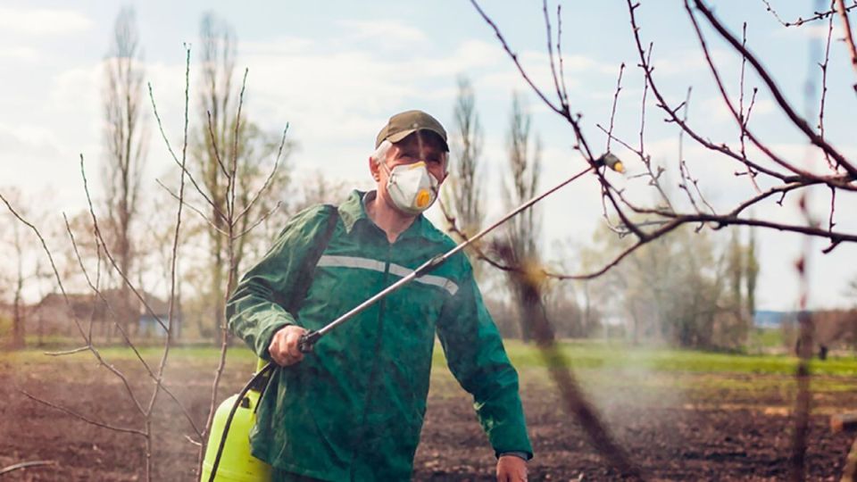 Осенние заботы о саде: мощная защита с помощью мочевины