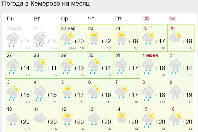 Высадка перцев в Сибирском климате