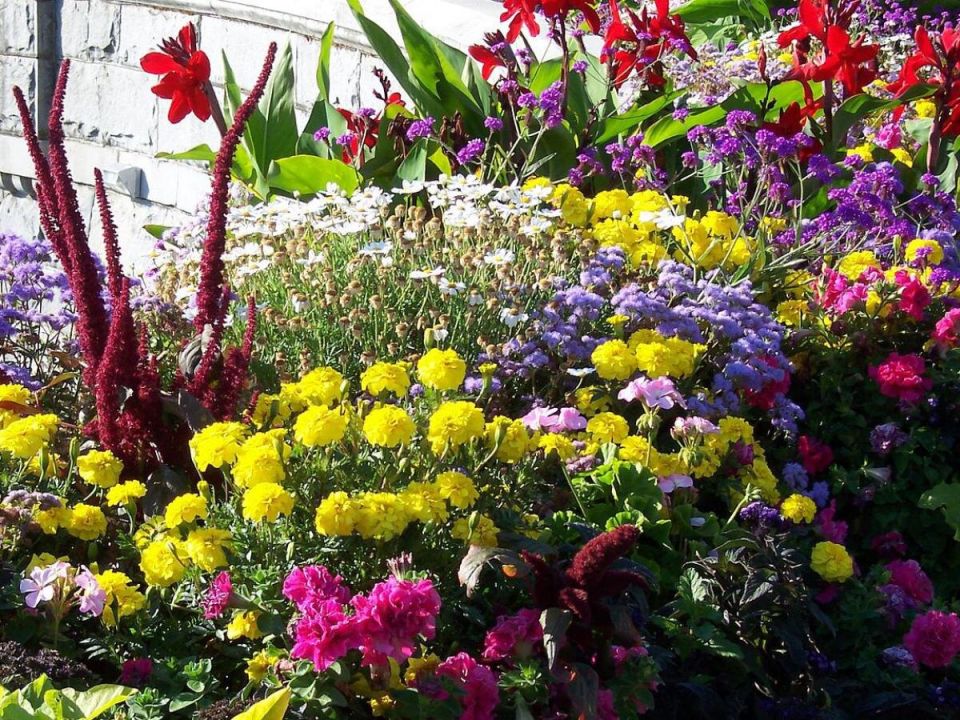 Создайте свой собственный цветник: советы для идеального сада