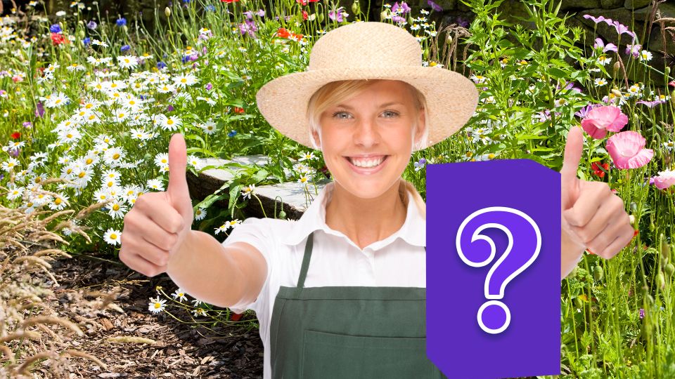 Этот продукт сожжет все сорняки на участке: полоть их больше не придется