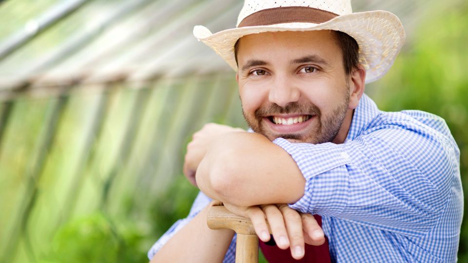 Этими средствами смело можете мыть теплицу: почва и растения не пострадают