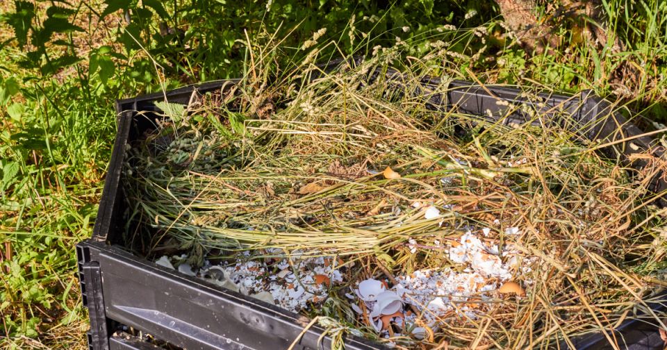 Минприроды объясняет, почему растительные отходы выделяются из общего потока ТКО