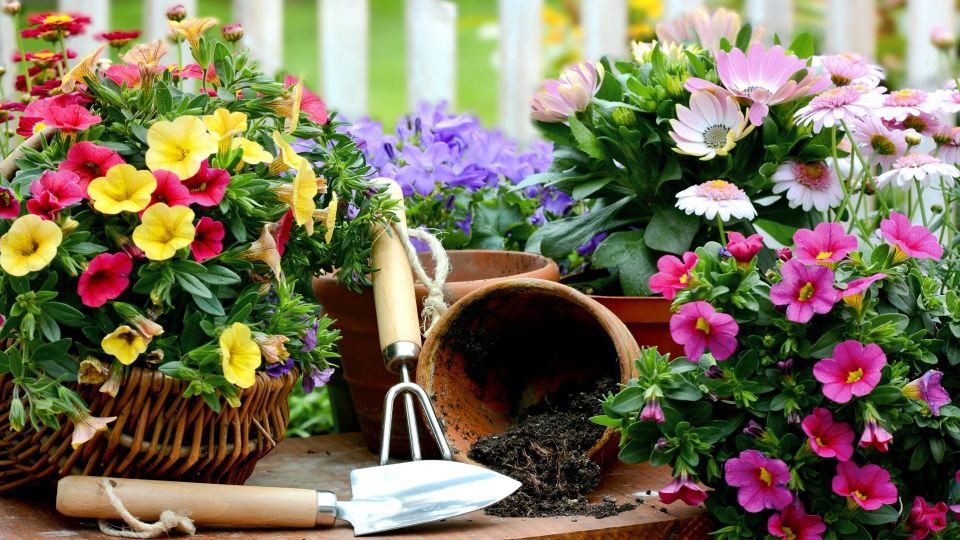 Вот как надо хранить садовые инструменты: сами очистятся от грязи и не затупятся