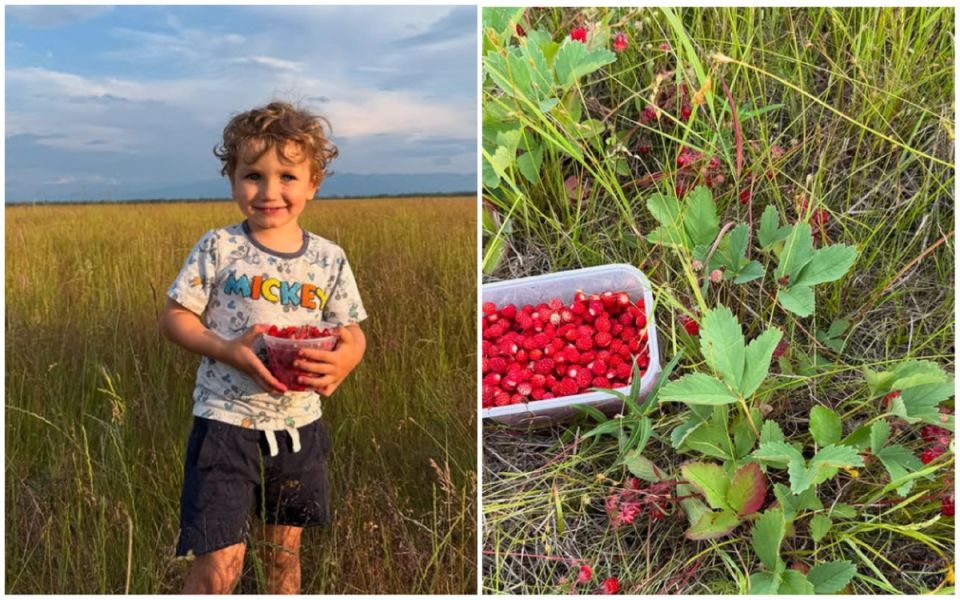 Аляска: загадочный край с неоспоримыми преимуществами жизни