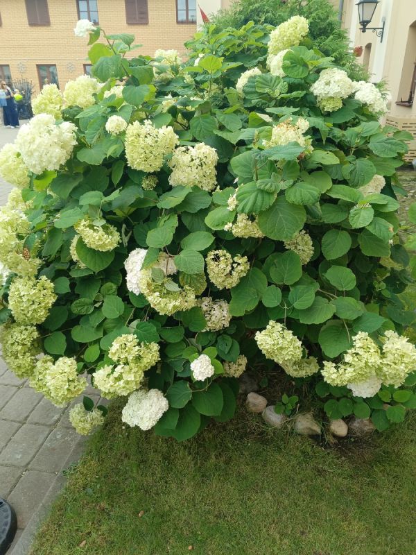 Как пенсионеры создают счастье: пять секретов новой жизни