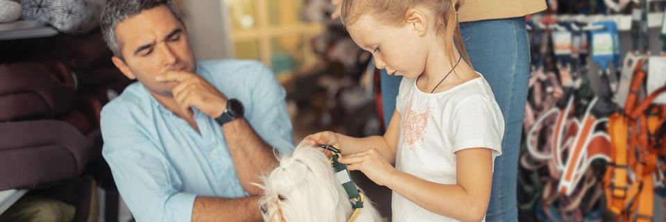 Как вернуть питомца в зоомагазин: что нужно знать