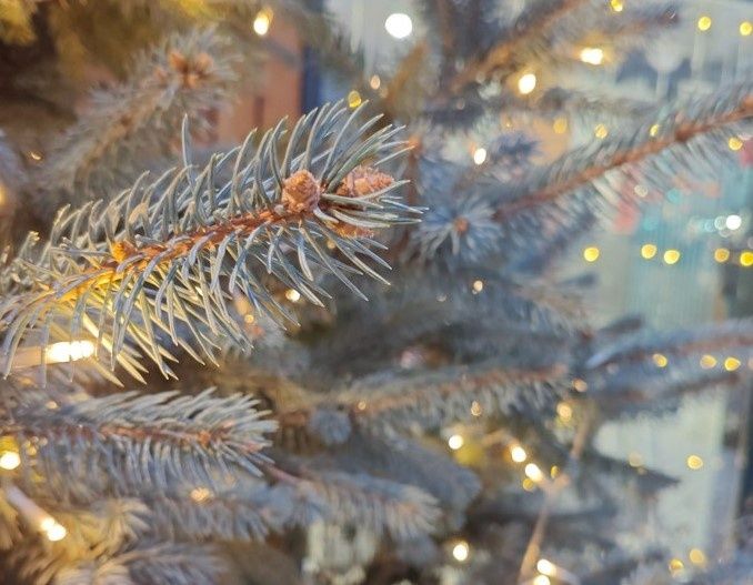 Январская пенсия придет к россиянам раньше планируемого