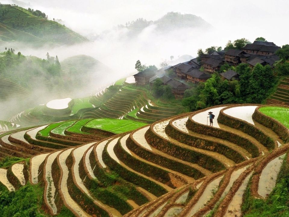 ��� ��������� ���������� ���������� ������� ���������: ������������ ������� ������