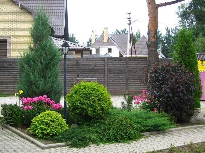 Тайны экономного сада: как создать красоту без лишних затрат