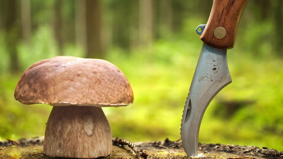 ��� �� ����� ���� ����� ���� �����: ����� ���-������ ��� ������ ������