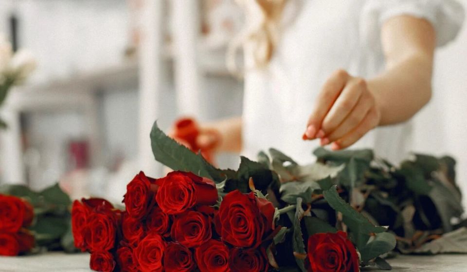 ��� �������� ����� �����: ������� ������ �� ���������