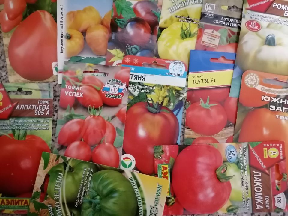 ��� ������������ �������� ������ �������: �������� ��� ��������?