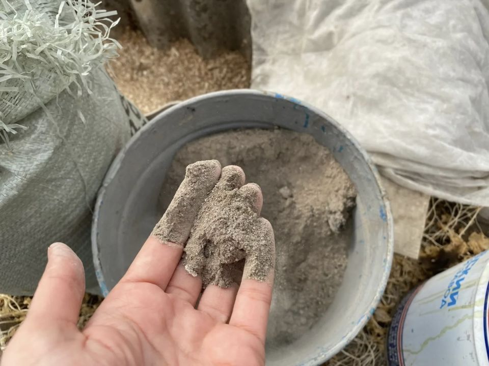 ��� ����� ������� ������ ����: ������� ������ �� ���������