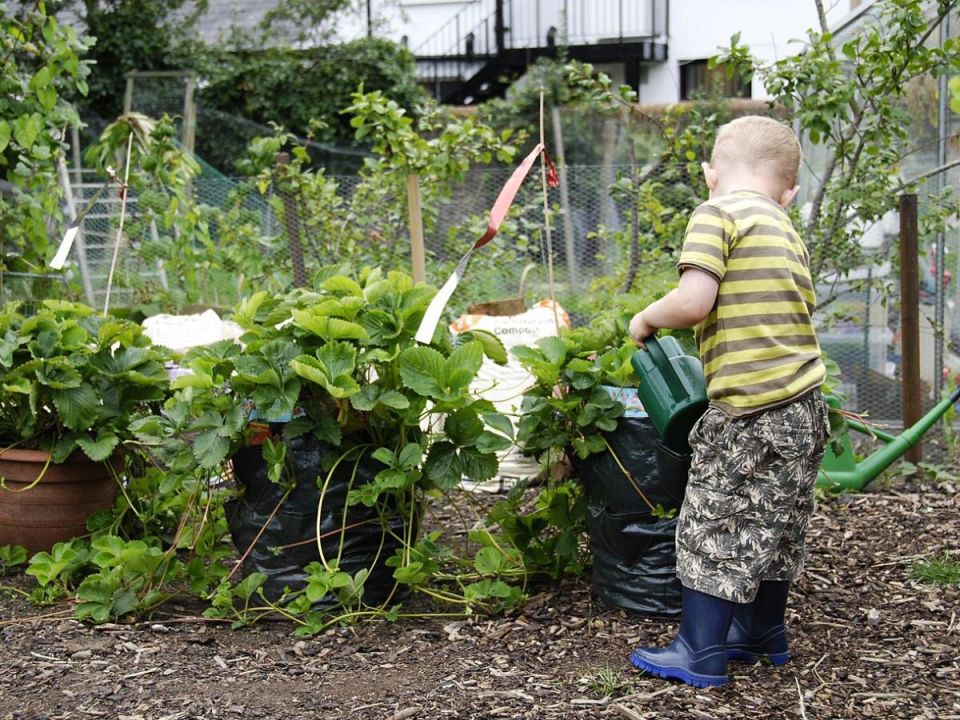 ��� ������� ���� ����� ������ ��� ��� �� ����������