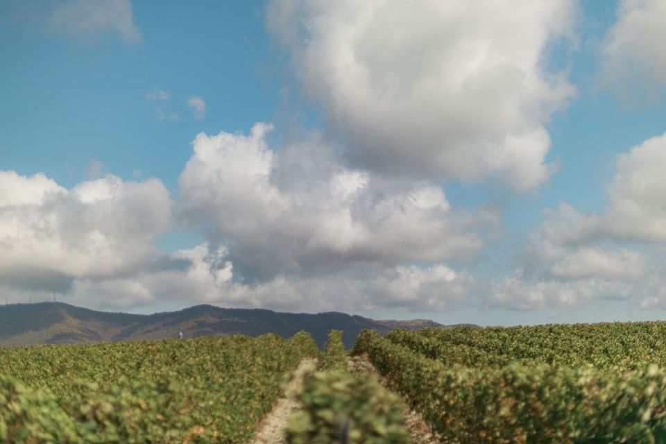 ���� ��� ���������� ������������� ��������: ��� ������������ �������� ����������